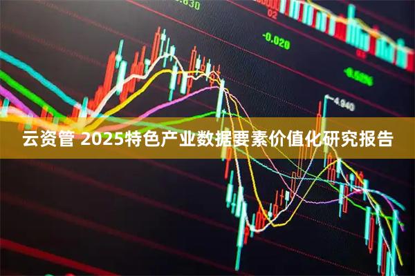 云资管 2025特色产业数据要素价值化研究报告