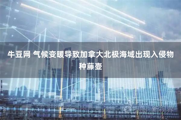 牛豆网 气候变暖导致加拿大北极海域出现入侵物种藤壶