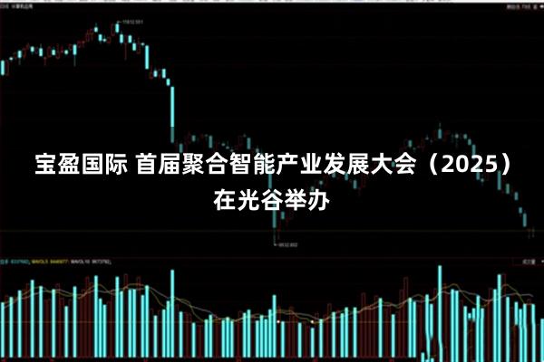 宝盈国际 首届聚合智能产业发展大会（2025）在光谷举办
