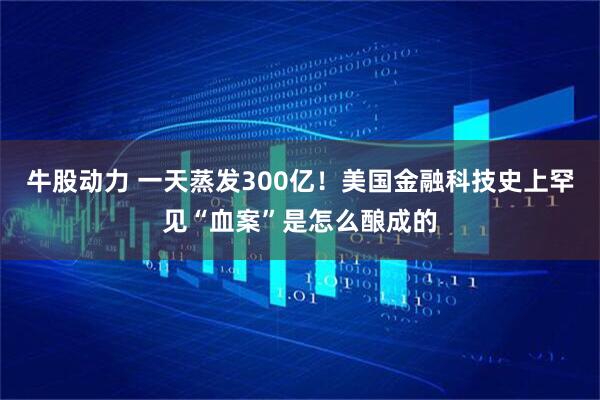 牛股动力 一天蒸发300亿！美国金融科技史上罕见“血案”是怎么酿成的