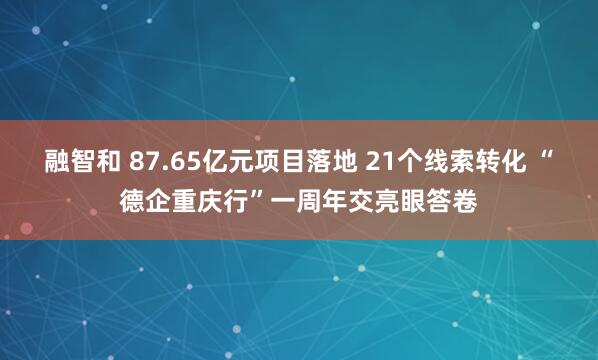 融智和 87.65亿元项目落地 21个线索转化 “德企重庆行”一周年交亮眼答卷
